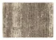 AE007