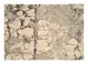 CA029